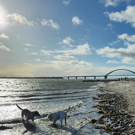 Ferienresidenz Haus Vogelflug Fehmarn-ostseeferien Strandresidenz Vogelflug 141 App 4 Meerblick